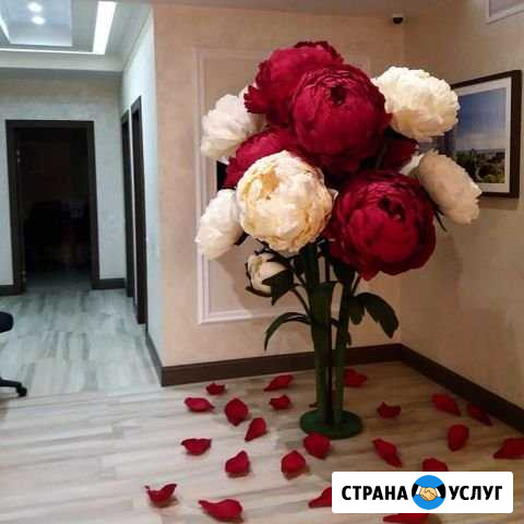 Аренда декора Сочи - изображение 1