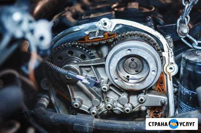 Замена цепи грм Skoda Audi VW 1.4 1.6 1.8 2.0 TSI Москва - изображение 1
