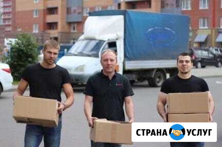 Грузчики, разнорабочие, переезды Брянск - изображение 1