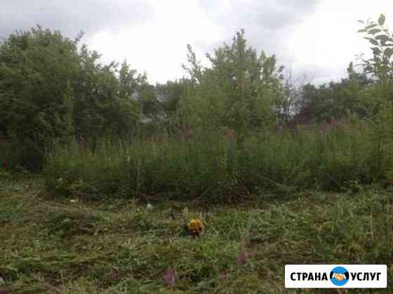 Покос травы Молочное