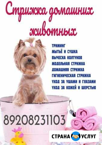 Стрижка собак и кошек Орёл - изображение 1
