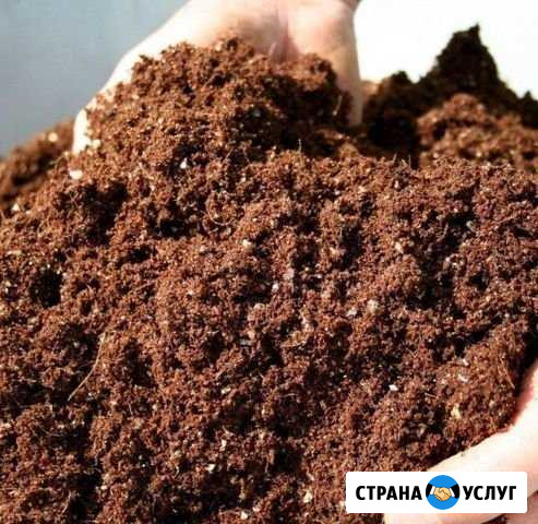 Перегной, торф, щебень, дрова Сысерть - изображение 1