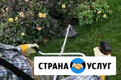 Покос, спил деревьев,корчевание,разбор строений Йошкар-Ола - изображение 1