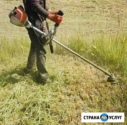 Покос травы Гулькевичи - изображение 1