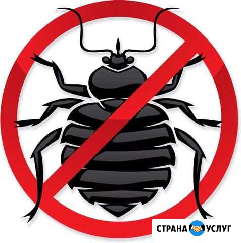 Уничтожения клопов,тараканов, блох, грызунов Омск - изображение 1