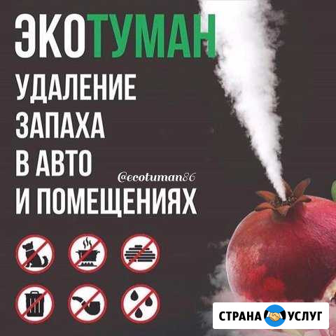 Эко Туман Агой - изображение 1