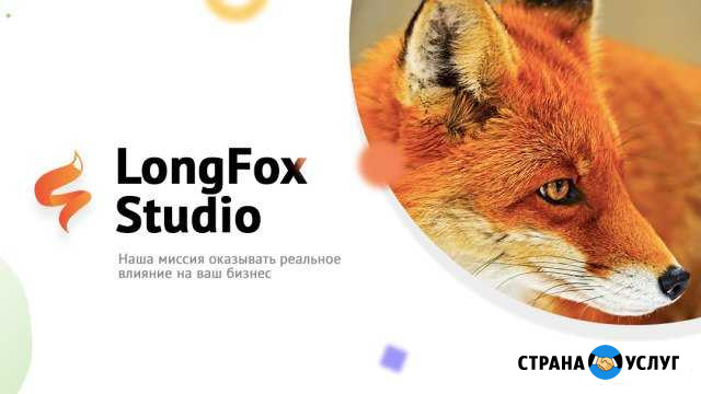 Разработка/продвижение сайтов Петрозаводск - изображение 1