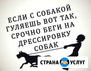 Дрессировка собак индивидуальные занятия Воронеж - изображение 1