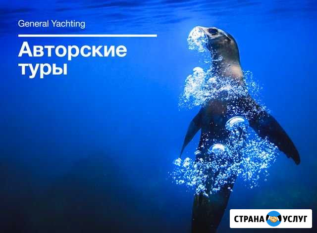 Авторские туры, Аренда Яхт, Кэмпинги Ялта - изображение 1