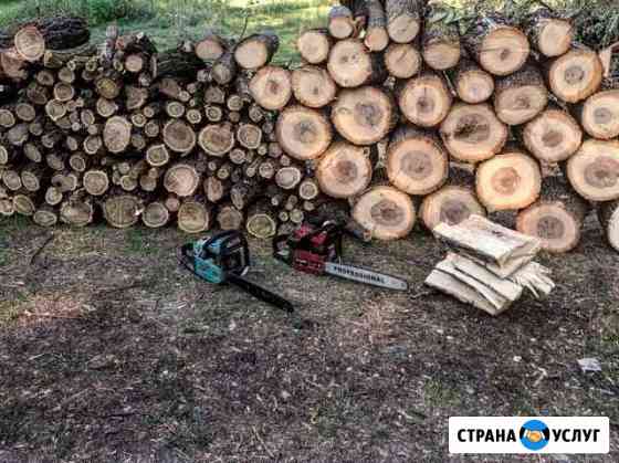 Спил деревьев любые объемы Таганрог