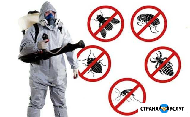 Дезинсекция,уничтожение насекомых Самара - изображение 1