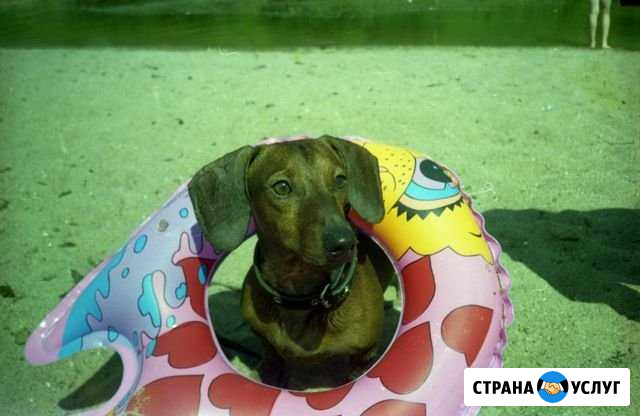 Оцифровка фотопленок, слайдов, фотографий Вологда - изображение 1