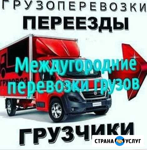 Грузоперевозки 24 часа Сочи - изображение 1