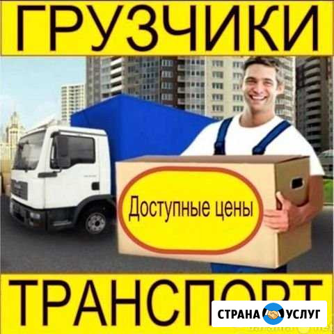 Грузчики И разнорабочие Мурино - изображение 1