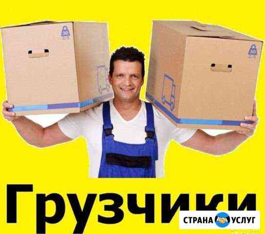 Вывоз мусора. Грузоперевозки. Грузчики. Переезды Тула