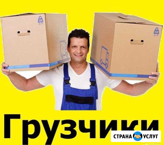 Вывоз мусора. Грузоперевозки. Грузчики. Переезды Тула - изображение 1