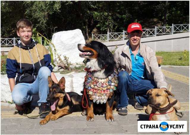 Дрессировка собак Улан-Удэ - изображение 1