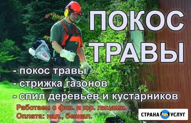 Покос травы спил деревьев Бор - изображение 1