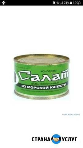 Продам морскую капусту Ижевск - изображение 1