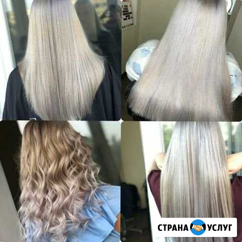 Клорист Абакан - изображение 1