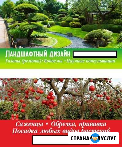 Ландшафтный дизайн Путевка - изображение 1