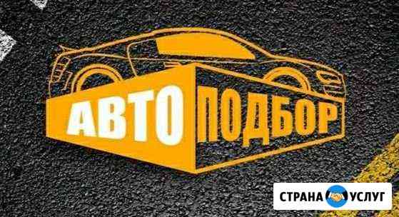 Автоподбор помощь при подборе, покупке авто Донской