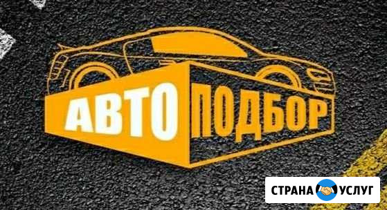 Автоподбор помощь при подборе, покупке авто Донской - изображение 1