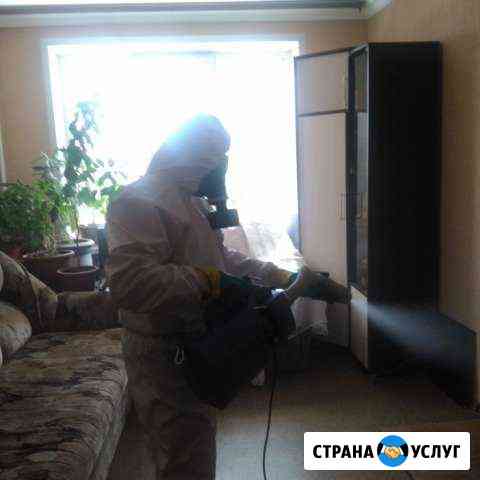 Санобработка дезконтроль Тольятти Тольятти