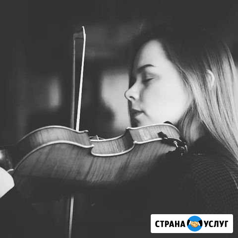 Скрипачка на Ваш праздник Петрозаводск - изображение 1