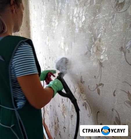 Профессиональная уборка, химчистка, мойка окон Омск - изображение 1