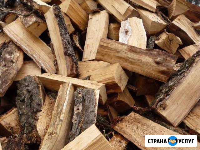 Дрова дуб Ишимбай - изображение 1