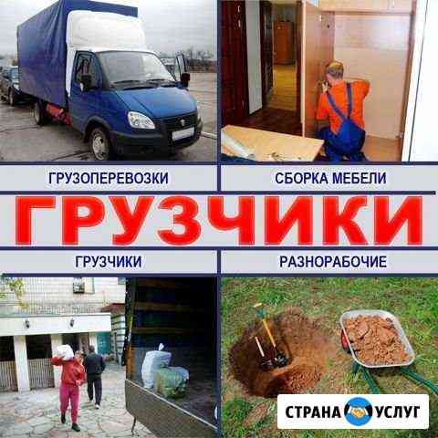 Грузчики Люберцы