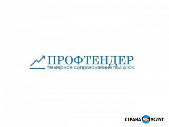 Тендерное сопровождение Астрахань