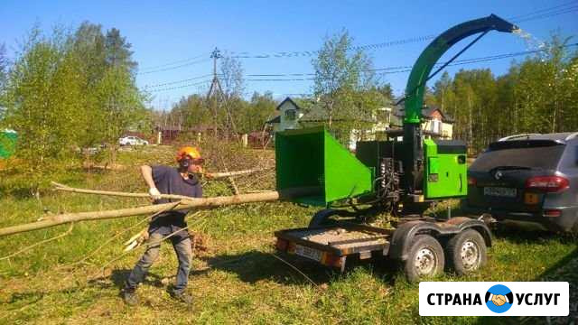 Аренда измельчителя веток Laski (Чехия) Санкт-Петербург - изображение 1