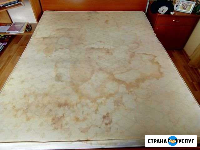 Химчистка мягкой мебели и ковров Магнитогорск - изображение 1