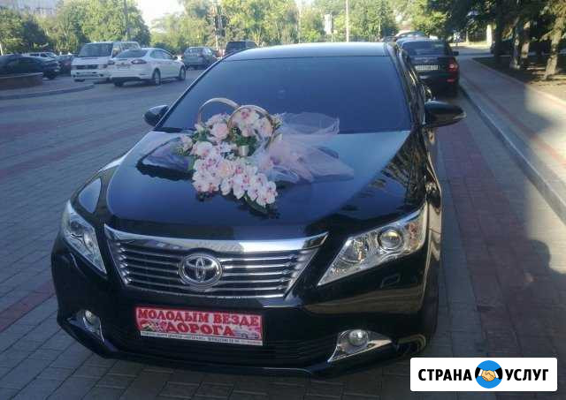 Аренда авто на свадьбу Элиста - изображение 1