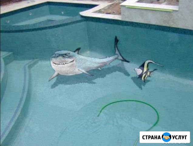 Предлагаем услуги по обслуживанию бассейнов Пушкин - изображение 1