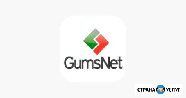 Интернет GumsNet Гудермес - изображение 1