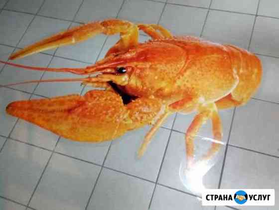 Наружная Реклама Краснодар