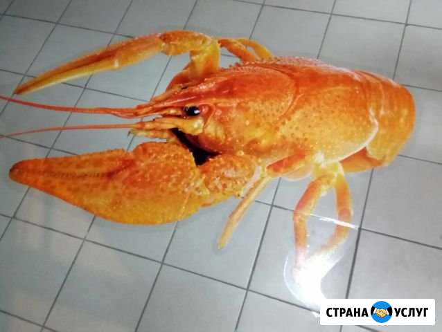 Наружная Реклама Краснодар - изображение 1