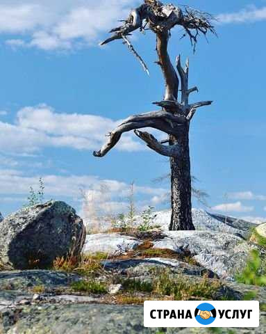 Гора Воттоваара. Заброска туристов на гору Поросозеро - изображение 1