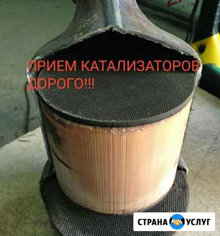 Скупка / Прием Катализатора по Санкт Петербургу Санкт-Петербург - изображение 1