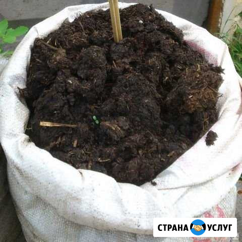 Навоз в мешках Вязники - изображение 1