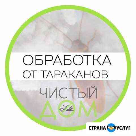 Санобработка. Уничтожение клопов, тараканов Тольятти