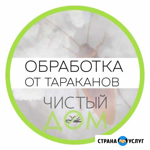 Санобработка. Уничтожение клопов, тараканов Тольятти - изображение 1