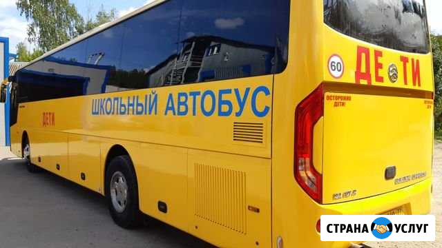 Аренда автобуса с водителем для перевозки детей Одинцово - изображение 1