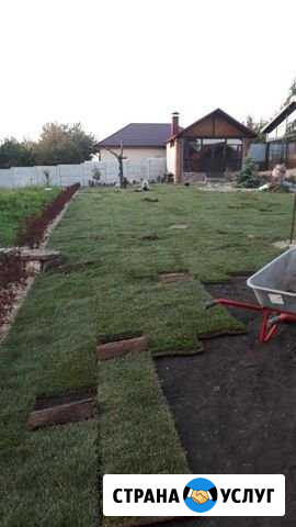 Рулонный газон, обслуживание, озеленение, дизайн Белгород - изображение 1