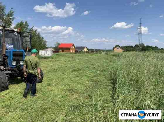 Покос травы, газонокосилкой, трактором Дмитров