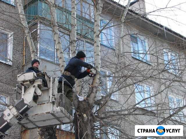 Опиловка деревьев покос травы Лебедянь - изображение 1