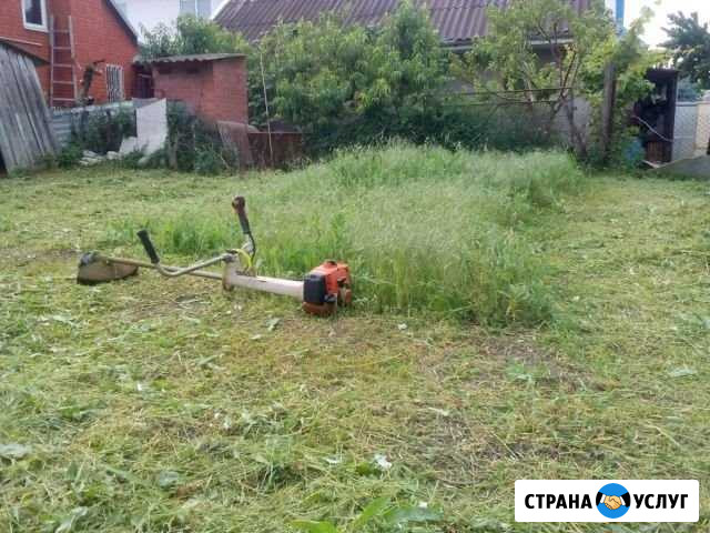 Покос травы Подгорное - изображение 1